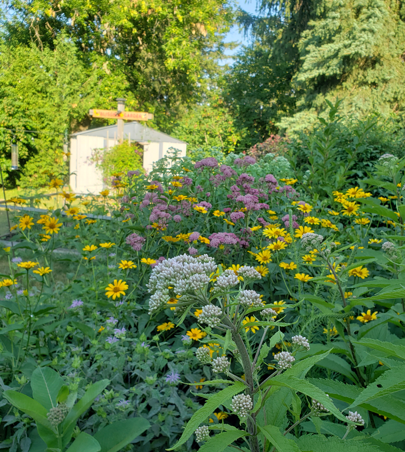 Alison B.'s Garden