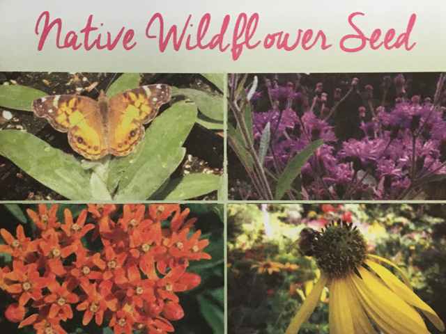 Native Plants in Claremont - Seed Packets