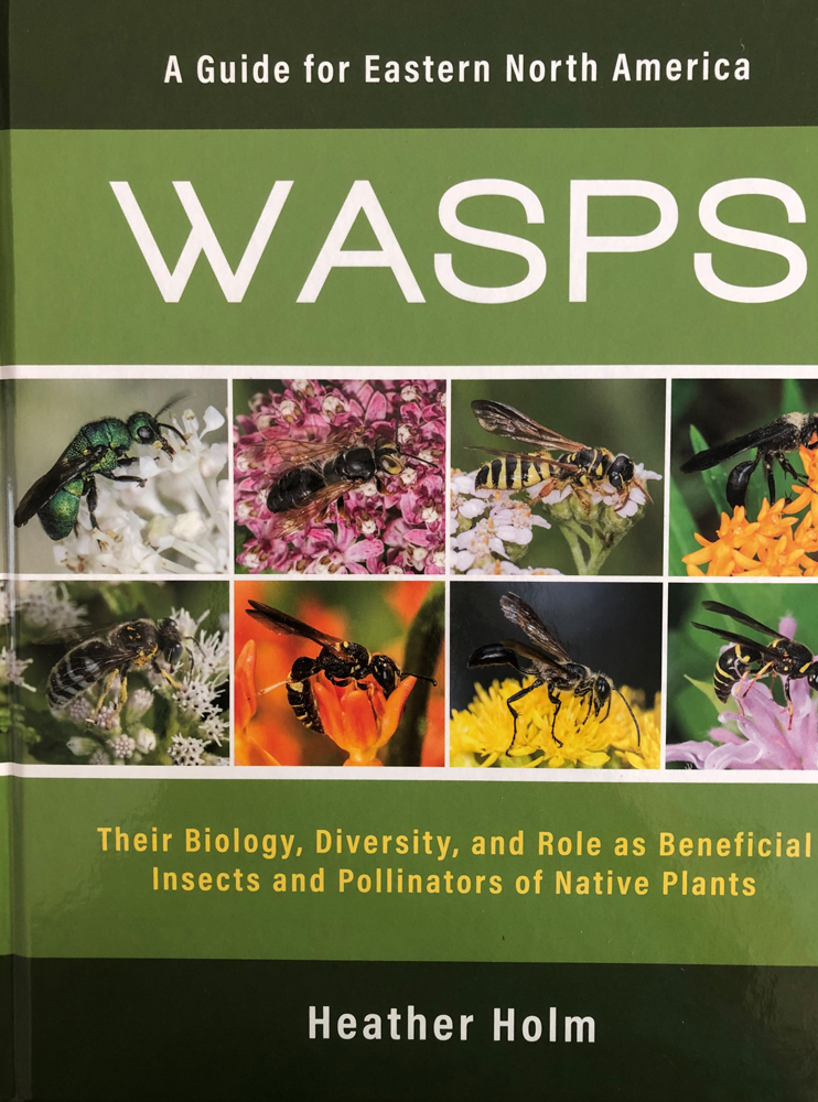Native Plants in Claremont - Wasps Book