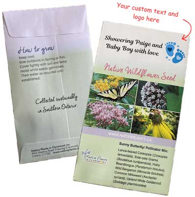 Custom Seed Packets